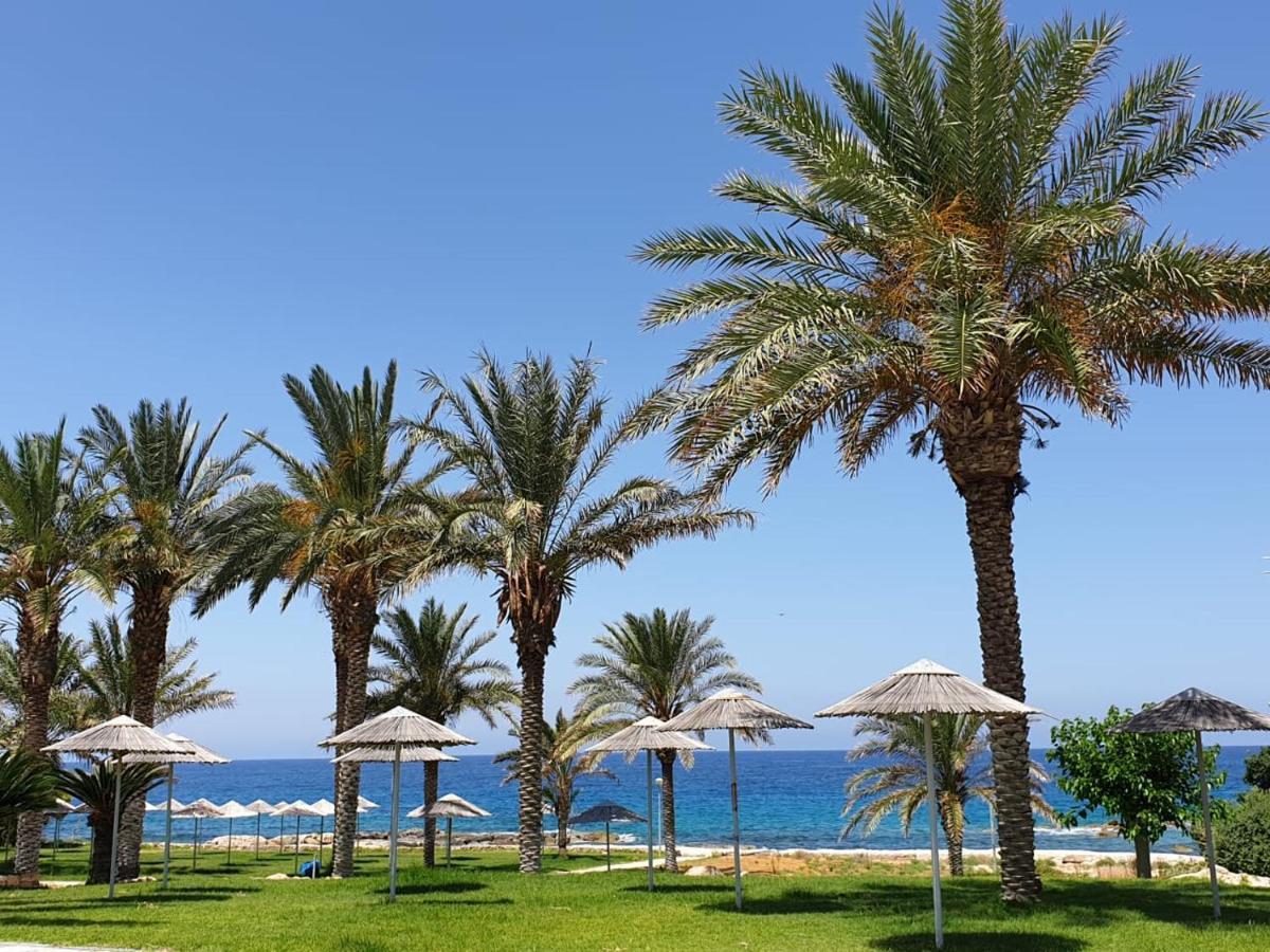 Seaview Sunset Holiday Apartments Paphos 外观 照片